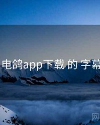 精选 电鸽app下载 的 字幕方案