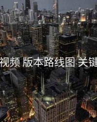 蓝莓视频 版本路线图 关键节点