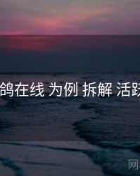 以 电鸽在线 为例 拆解 活跃人群