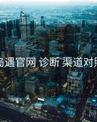 岛遇官网 诊断 渠道对照