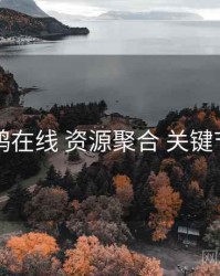 电鸽在线 资源聚合 关键节点