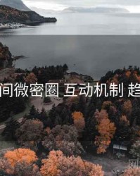 秘语空间微密圈 互动机制 趋势观察