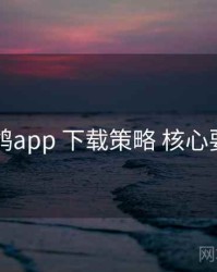 电鸽app 下载策略 核心要点