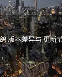 电鸽 版本差异与 更新节奏