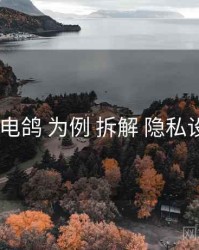 以 电鸽 为例 拆解 隐私设置