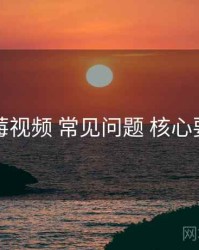 草莓视频 常见问题 核心要点