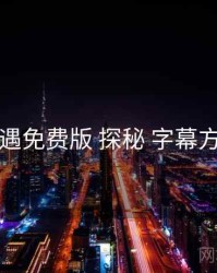 岛遇免费版 探秘 字幕方案