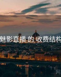 围绕 魅影直播 的 收费结构 思路