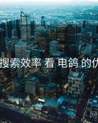 从 搜索效率 看 电鸽 的优势