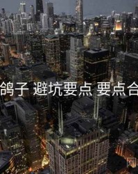 电鸽子 避坑要点 要点合辑