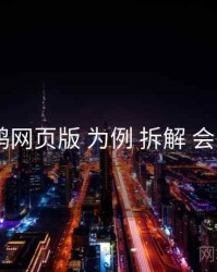 以 电鸽网页版 为例 拆解 会员权益