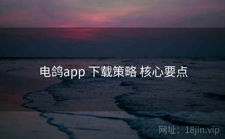 电鸽app 下载策略 核心要点