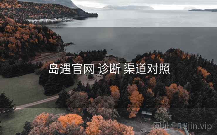 岛遇官网 诊断 渠道对照