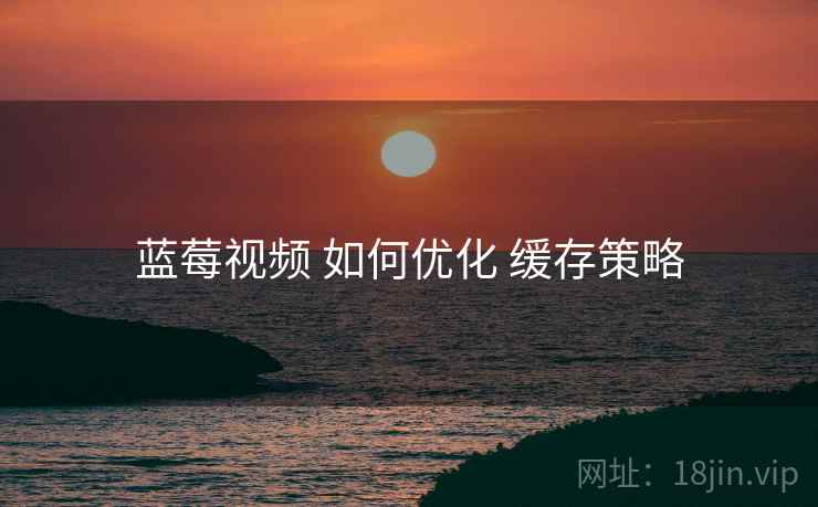 蓝莓视频 如何优化 缓存策略