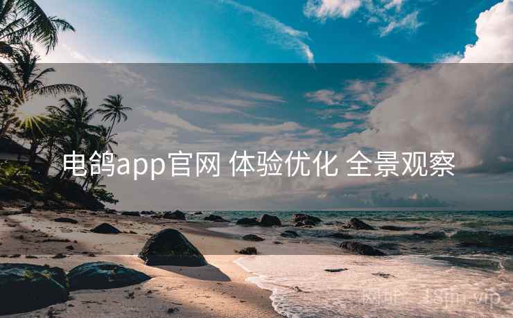 电鸽app官网 体验优化 全景观察