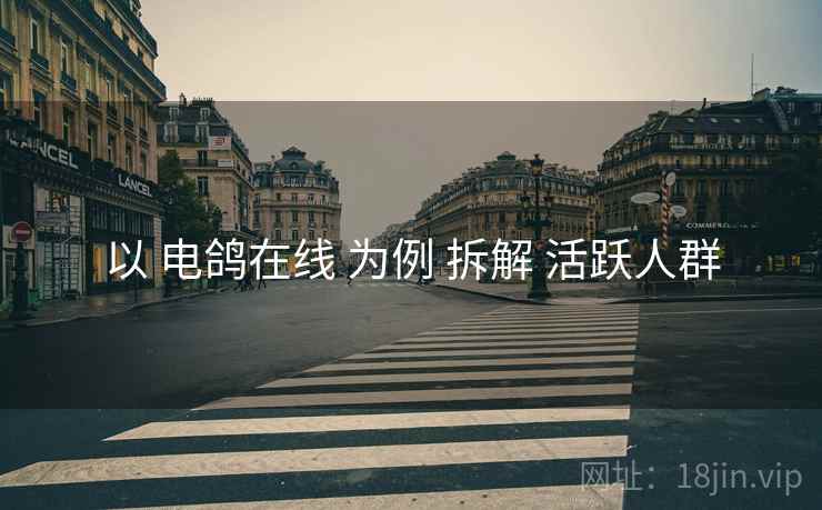 以 电鸽在线 为例 拆解 活跃人群