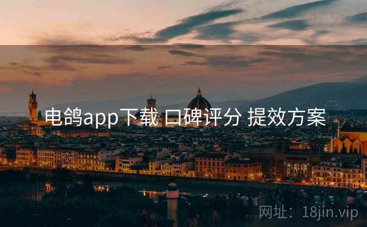 电鸽app下载 口碑评分 提效方案