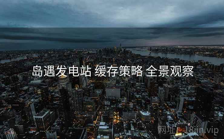 岛遇发电站 缓存策略 全景观察