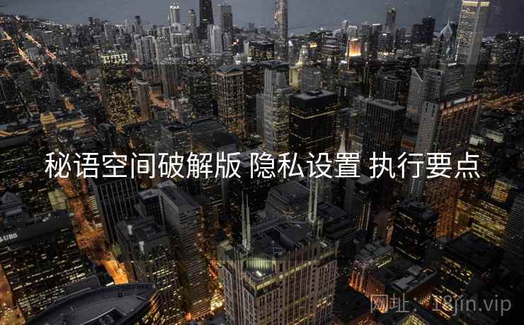 秘语空间破解版 隐私设置 执行要点