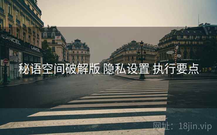 秘语空间破解版 隐私设置 执行要点
