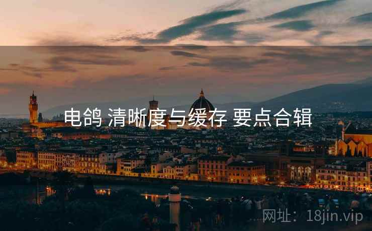 电鸽 清晰度与缓存 要点合辑