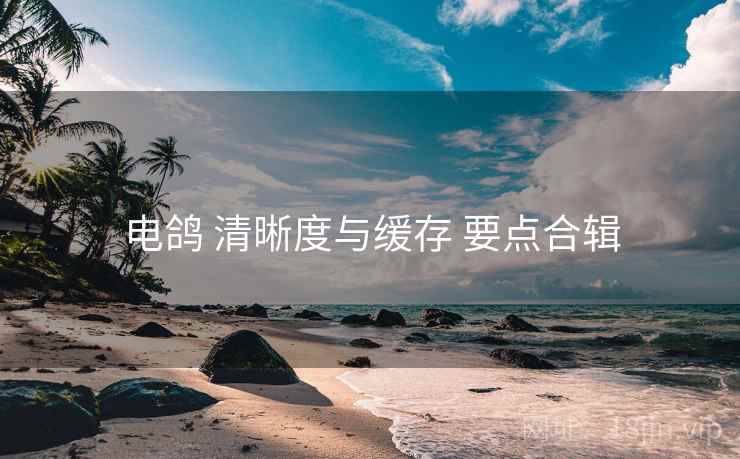电鸽 清晰度与缓存 要点合辑