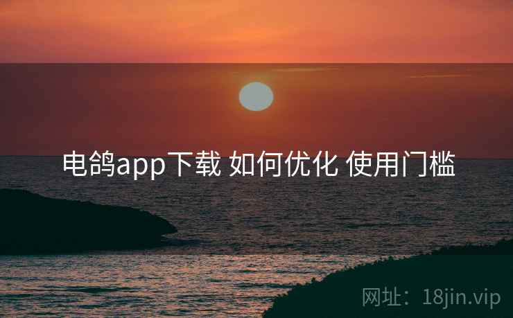 电鸽app下载 如何优化 使用门槛