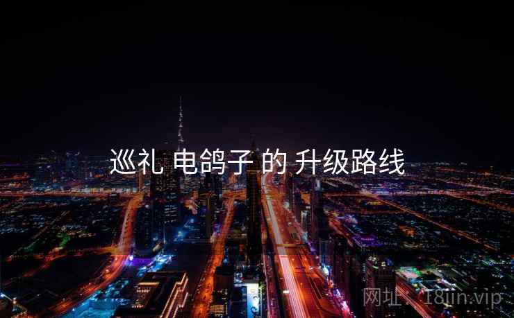 巡礼 电鸽子 的 升级路线