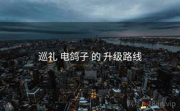 巡礼 电鸽子 的 升级路线