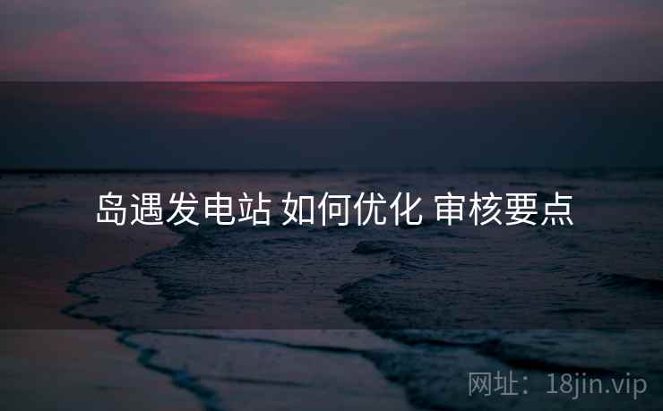 岛遇发电站 如何优化 审核要点