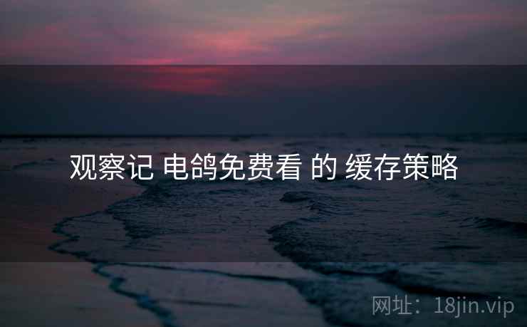 观察记 电鸽免费看 的 缓存策略