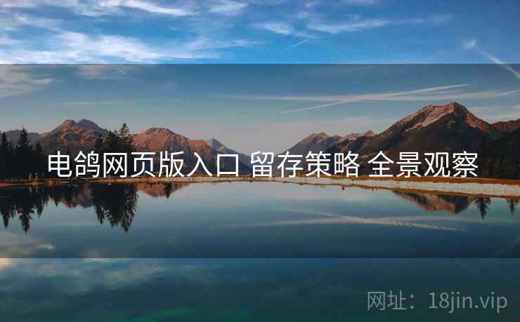 电鸽网页版入口 留存策略 全景观察