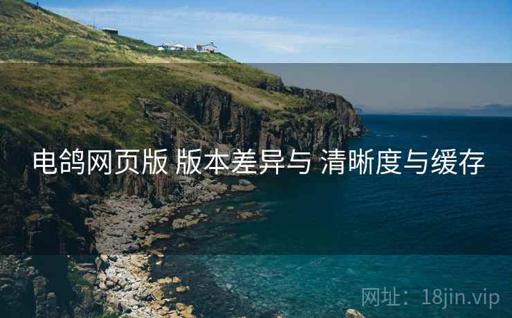电鸽网页版 版本差异与 清晰度与缓存