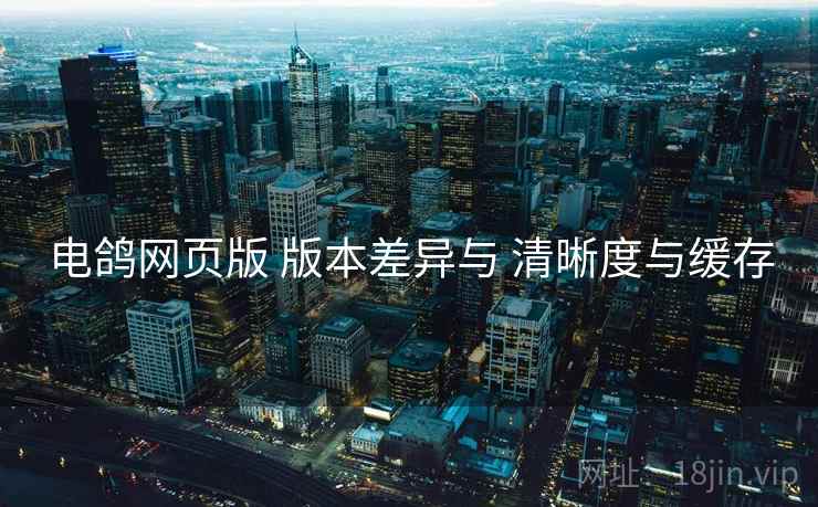 电鸽网页版 版本差异与 清晰度与缓存