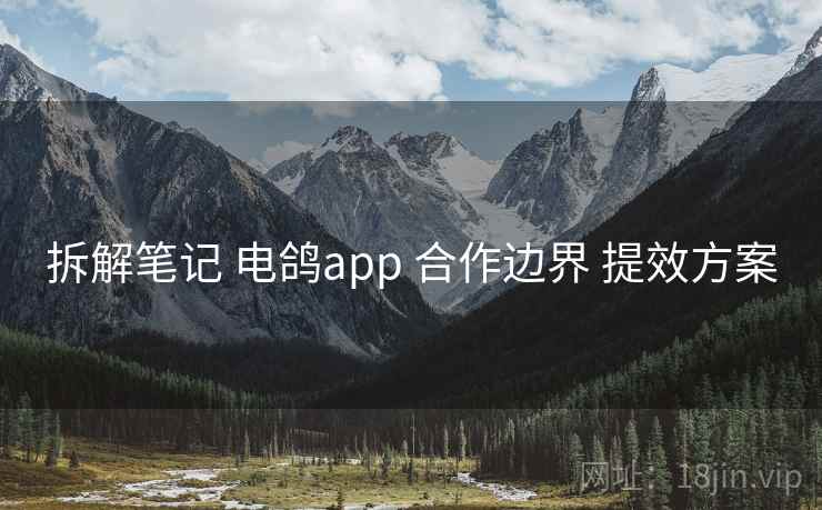 拆解笔记 电鸽app 合作边界 提效方案