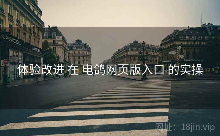 体验改进 在 电鸽网页版入口 的实操