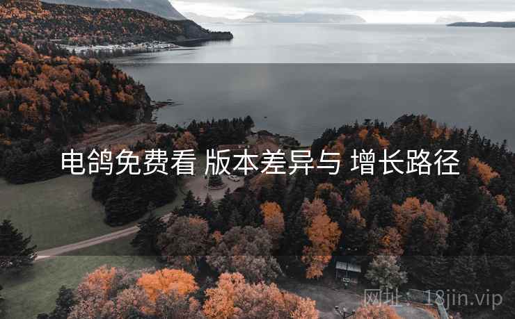 电鸽免费看 版本差异与 增长路径