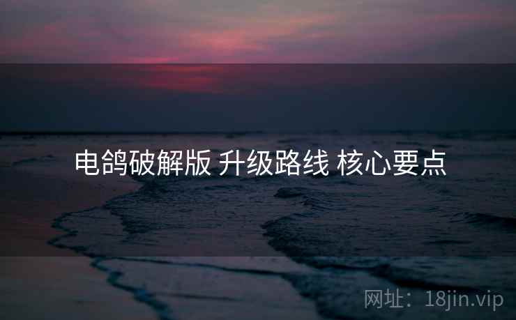 电鸽破解版 升级路线 核心要点