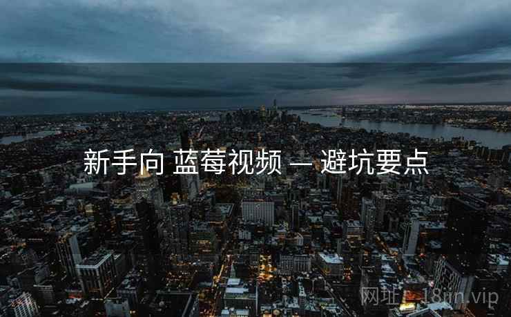 新手向 蓝莓视频 — 避坑要点