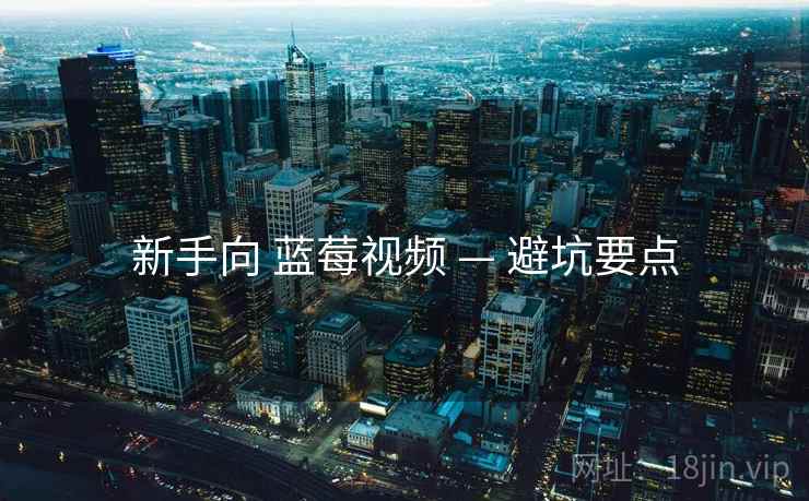 新手向 蓝莓视频 — 避坑要点