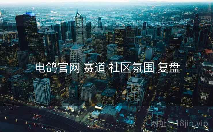 电鸽官网 赛道 社区氛围 复盘