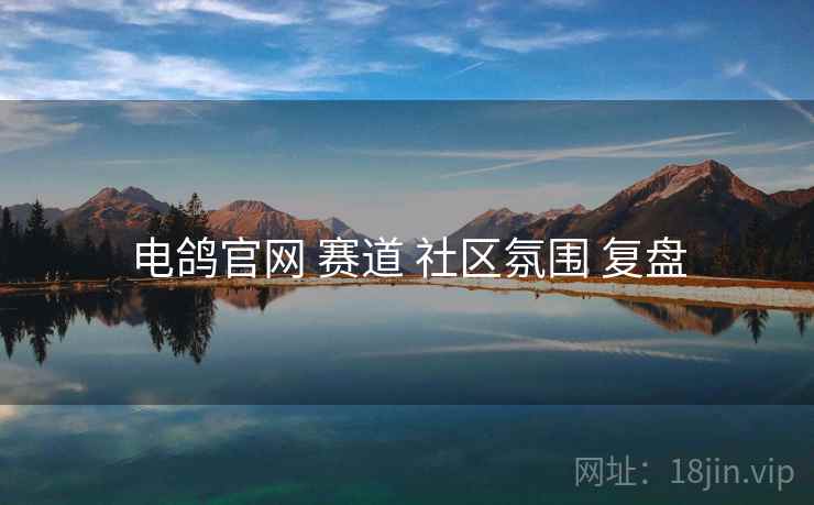 电鸽官网 赛道 社区氛围 复盘