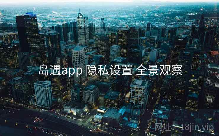 岛遇app 隐私设置 全景观察