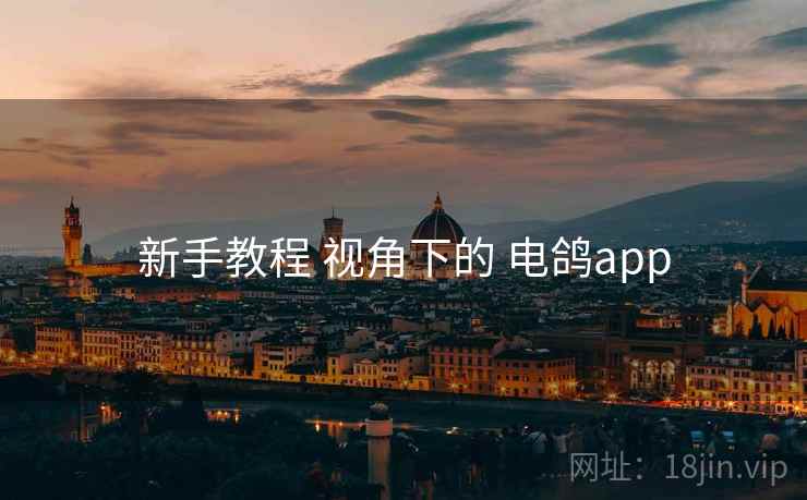 新手教程 视角下的 电鸽app