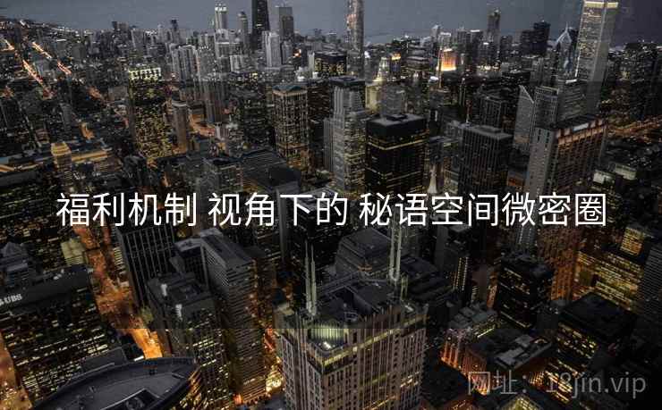 福利机制 视角下的 秘语空间微密圈