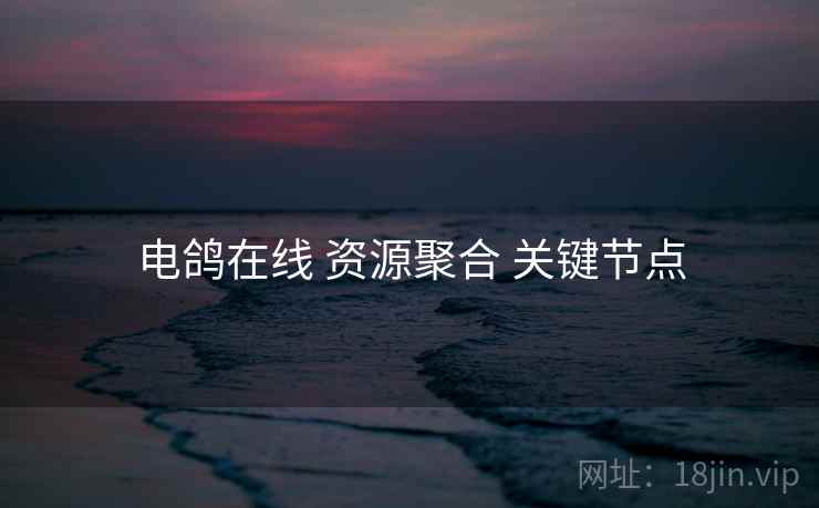 电鸽在线 资源聚合 关键节点