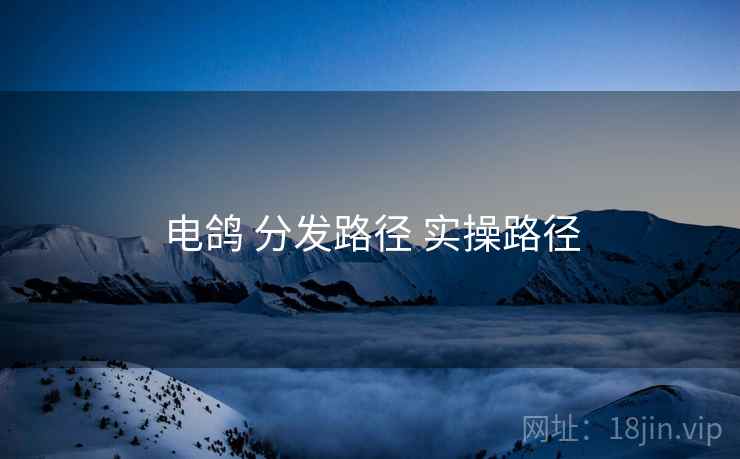 电鸽 分发路径 实操路径