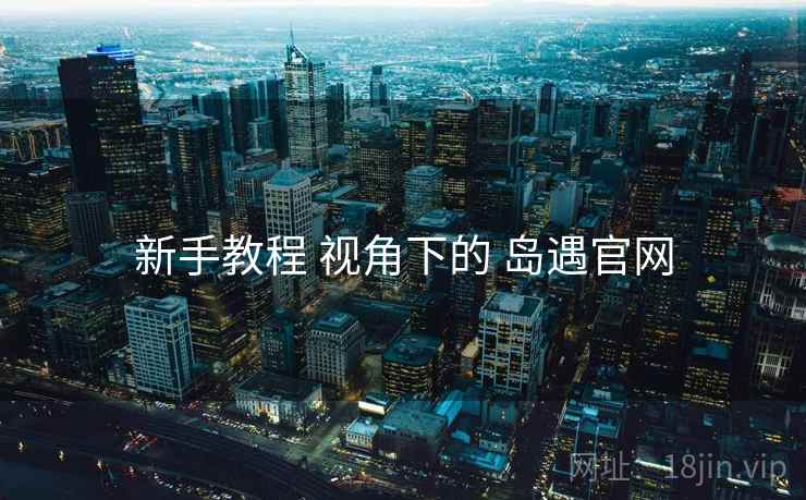 新手教程 视角下的 岛遇官网