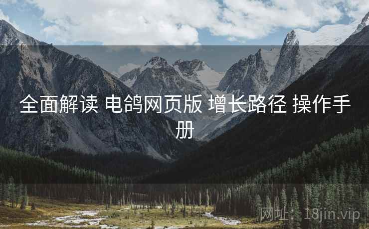 全面解读 电鸽网页版 增长路径 操作手册