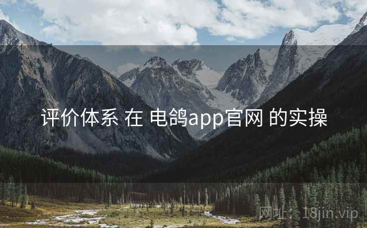 评价体系 在 电鸽app官网 的实操